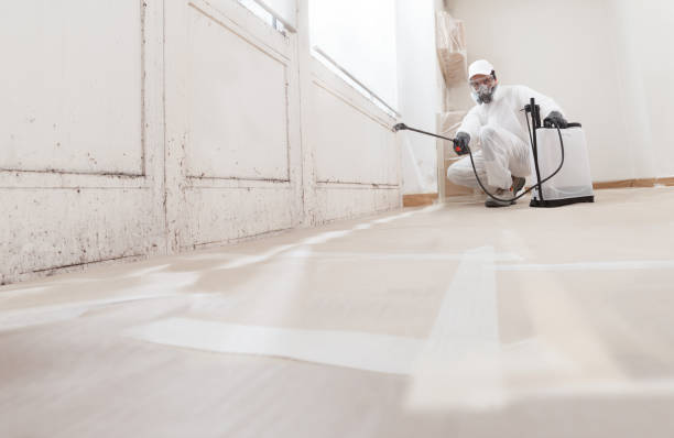 24/7 Emergency Attic Mold Removal experts in Imler, PA